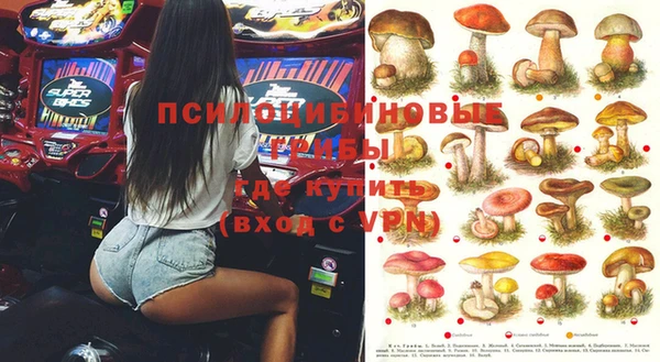 индика Куйбышев