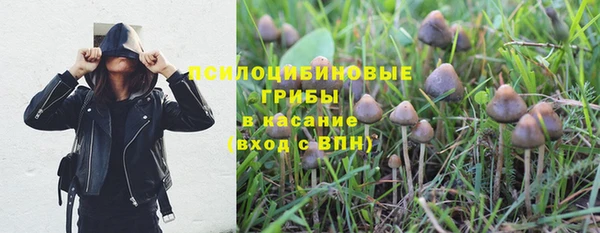индика Куйбышев